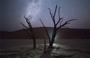 1-tree