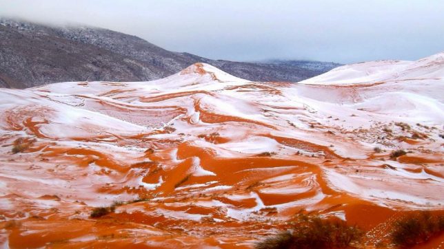 sneg-ain-sefra-644x362