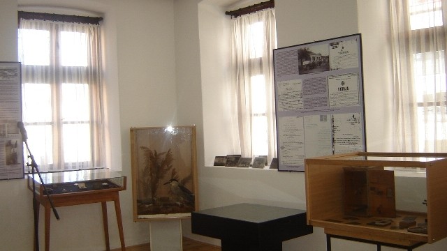 muzejnezlobinski